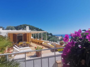 Private Villa Sea VIEW CON TERRAZZA E GIARDINO Capri